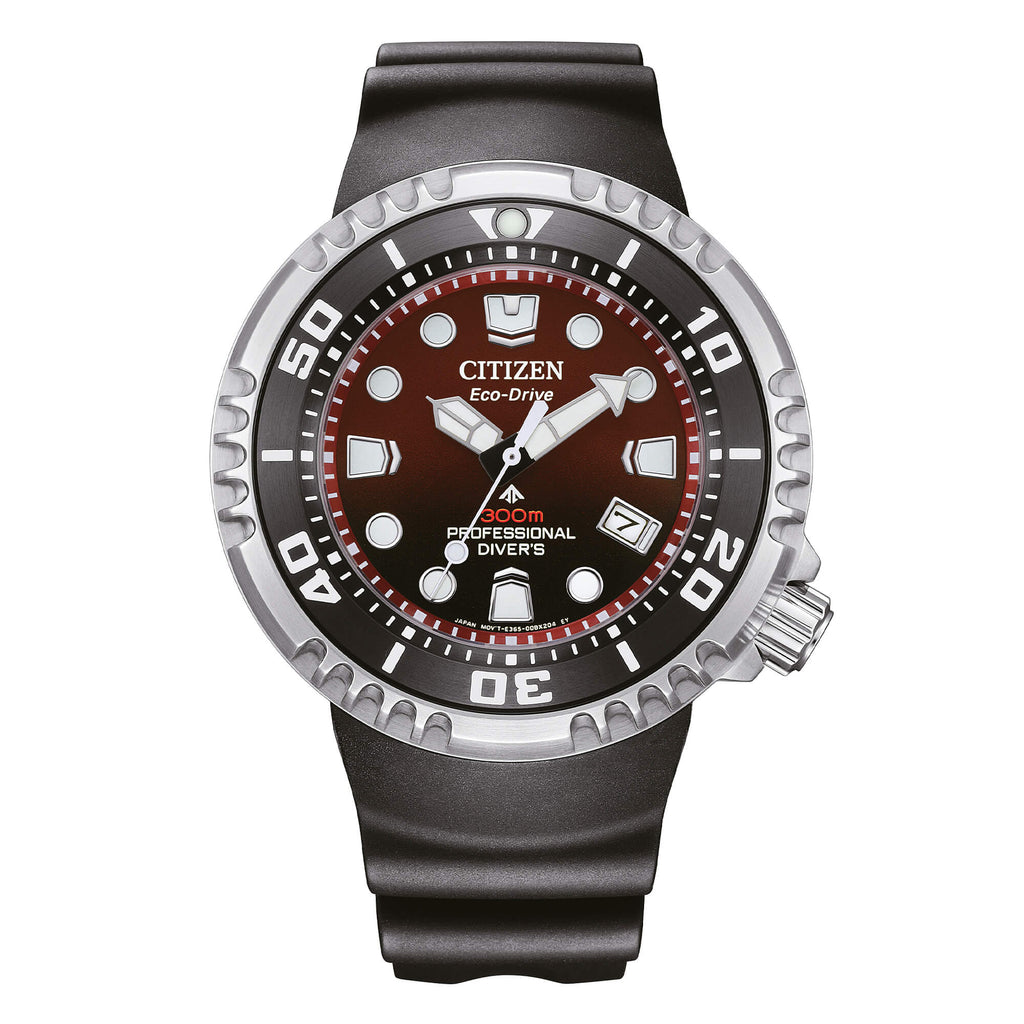 Diver's Eco Drive 300 mt